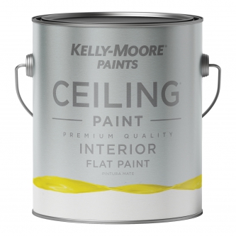 CEILING PAINT